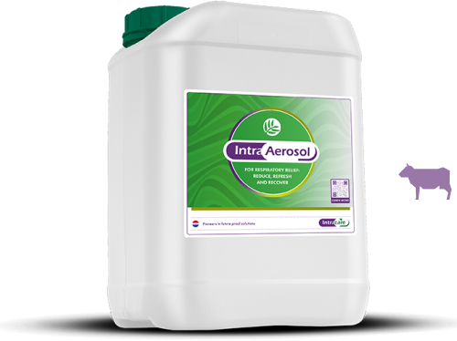 Интра Аэрозоль
