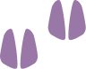 Logo_Hooves