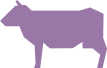 КОРОВЫ